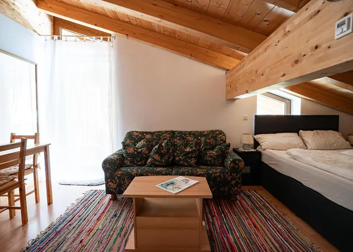 招待所 Haus Fries 3*